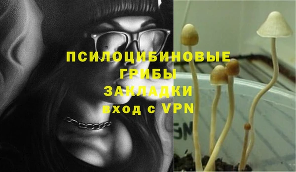 Альфа ПВП Алзамай